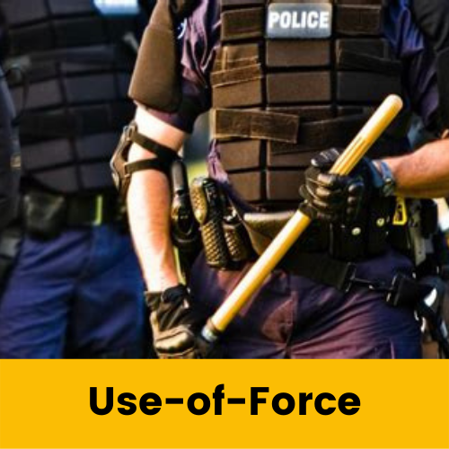 Use-of-Force Reports