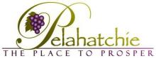Pelahatchie Police Department